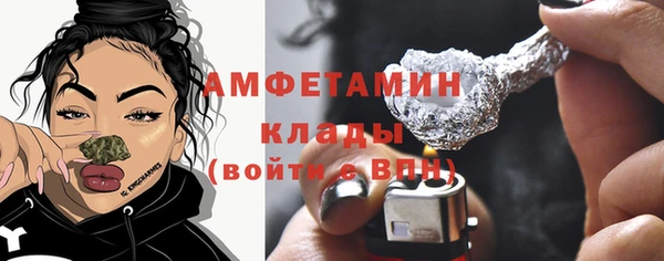 гашик Инсар