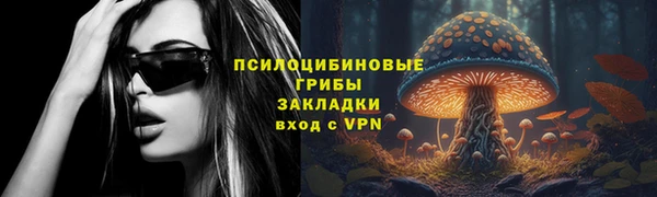 гидра Белокуриха