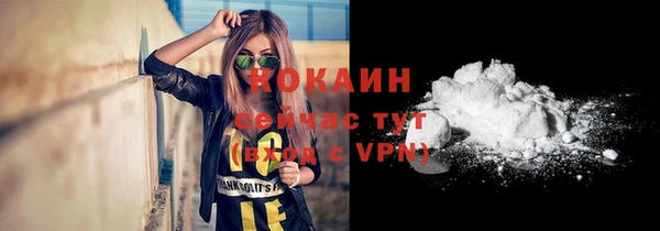 гидра Белокуриха
