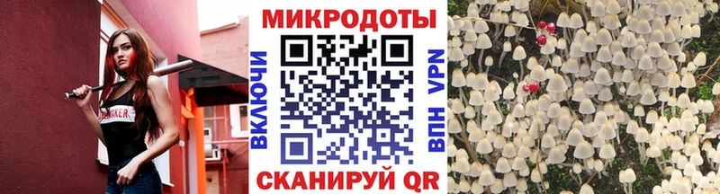 блэк спрут рабочий сайт  Очёр  Псилоцибиновые грибы GOLDEN TEACHER 